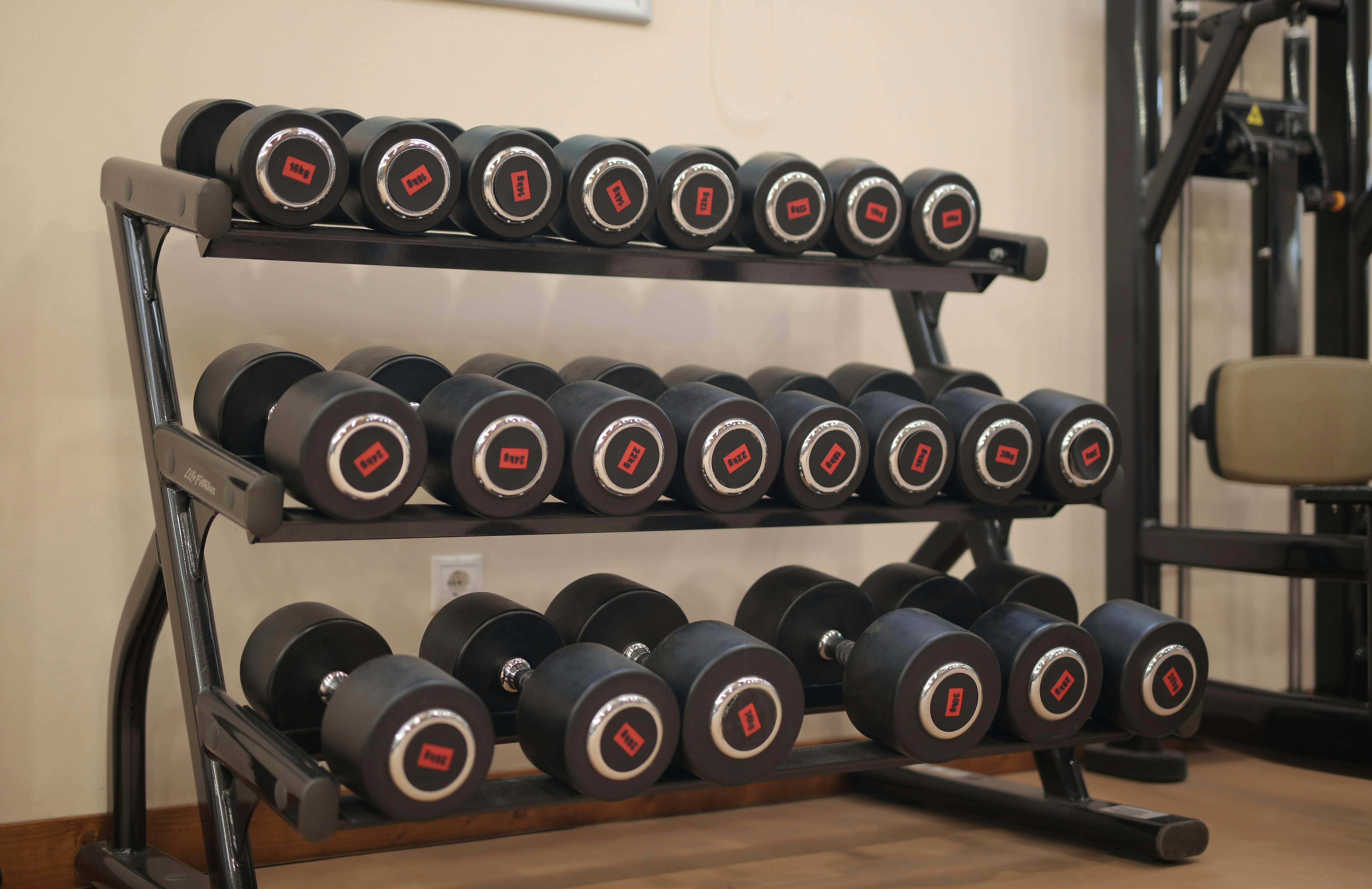 A neat arrangement of heavy dumbbells on a gym rack, ideal for workouts and strength training.